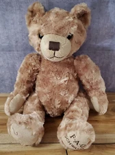 Vintage F.A.O. Schwarz Teddy Bear 16" Plush Jointed Embroidered  Excellent Shape