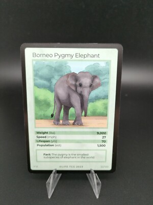 Borneo Pygmy Elephant Life Tcg 2023 - 22/100