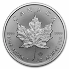 2024 Canadian Silver Maple Leaf 1 oz — photo from another recent sale