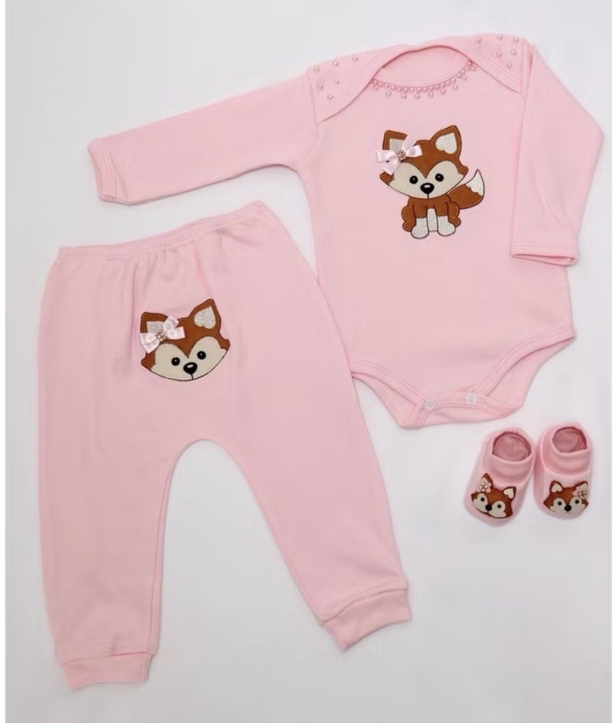 Baby Body set 3 pieces with embroidered Fox + shoes