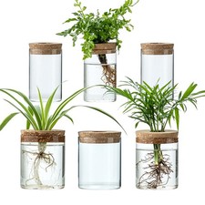 Plant Propagation Stations for Plants, 2 Size Glass Propagation Vases for Pro...