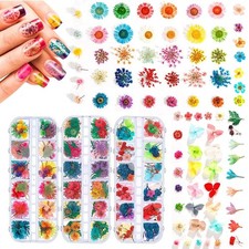 324PCS Dried Flowers Nail Art - Nail Art Accessories Kits, 81 Color Lovely Na...