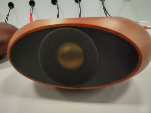 Coppia Super Tweeter TANNOY ST-200 PRESTIGE USATI JP - Foto 3 di 7