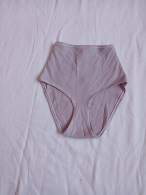 Skims Fits Everybody Brief Color Iris Mica Style PN-BRF-0751 Size XXS G21