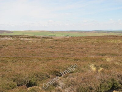 Photo 6x4 A49, Whitchurch 11 miles Papermill Bank  c2011