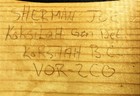 Bild 8 von 12