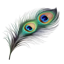 5x watercolor peacock car sticker 9x9cm weatherproof vinyl sticker for car laptop