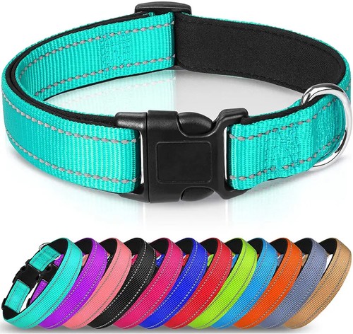 Collare per Cani in Nylon Imbottito Regolabile in Neoprene Riflettente in 12 Colori e 5 Taglie - Foto 17 di 17