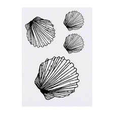4 x 'Scallop Shell' Temporary Tattoos / Transfers TO00008226 
