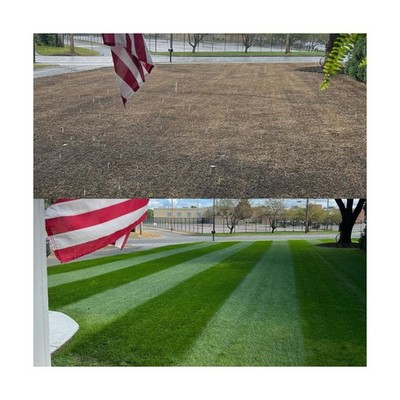 NightShift (Formerly Blackout) Perennial Ryegrass Grass Seed - Fireball and H...