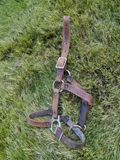 Very Old Leather Pony Halter Sort Of Western Style Light In Color