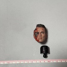 Hottoys HT DX46 1/6 Terminator 2 T800 Arnold Head Sculpt Model ( no battery )