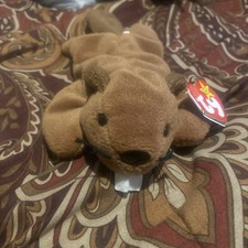 Ty Beanie Baby Bucky the Beaver style 4016 DOB 6-8-95 MWMT