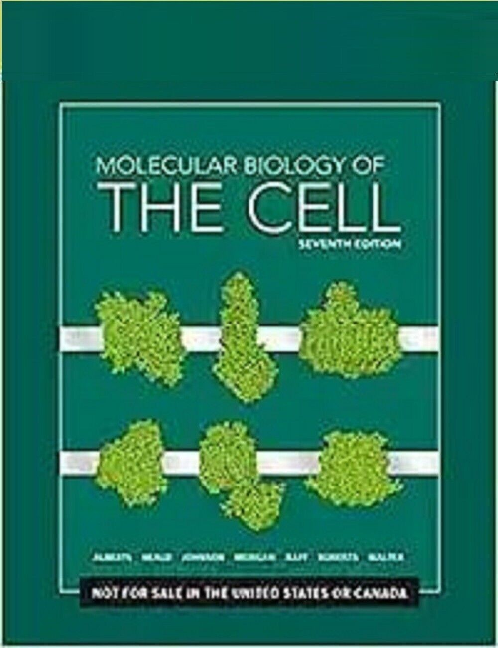 MOLECULAR BIOLOGY OF THE CELL Hardcover Q469