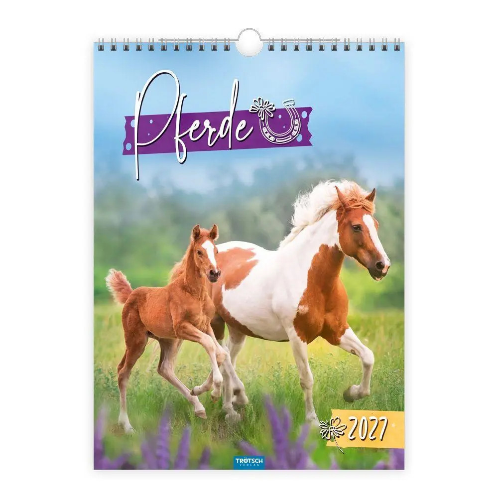 Trötsch Mehrfarbig Kalender, - Classickalender Pferde 2027 - Bild 8