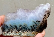 New Tide Pool Plume Agate Faced Rough!