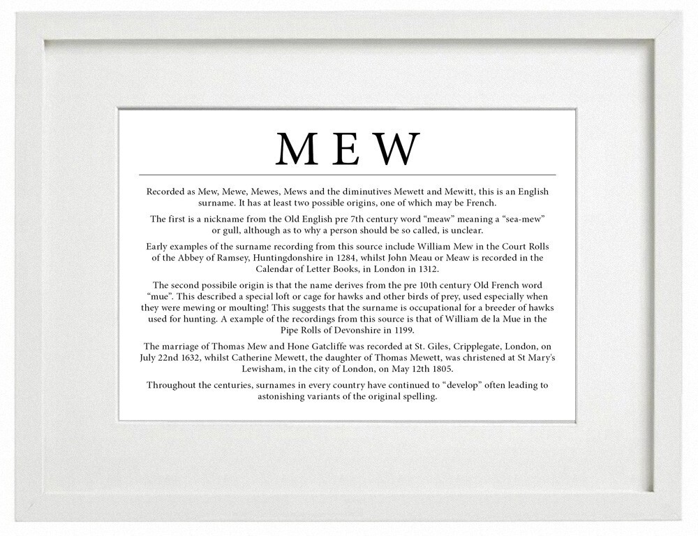 Surname meaning history A3 Framed A4 print Baner Cymru Y Ddraig