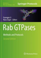 Guangpu Li (U. A.) | Rab Gtpases | Taschenbuch | Englisch (2022) | Xii | Humana