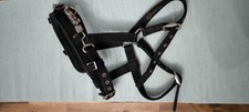 Kieffer Kappzaum Pony - Nylon, Schwarz