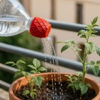 2pcs Plastic Watering Sprinkler Nozzle Red Water Bottle Cap  Agricultural Use