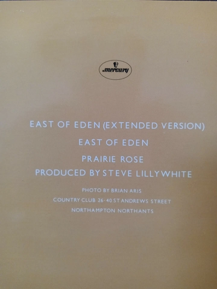 BIG COUNTRY East of Eden Extended & Lp Mix / Prairie Rose  UK 12 Inch 45  MINT. - Image 3 of 4