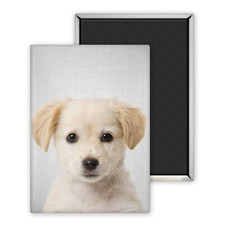 Chiot Golden retriever-Magnet Personnalisé 54x78mm Photo Frigo