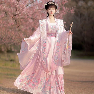Chinese Hanfu Embroidered Xiapi Pleated Skirt Five-piece Women's Long Skirt