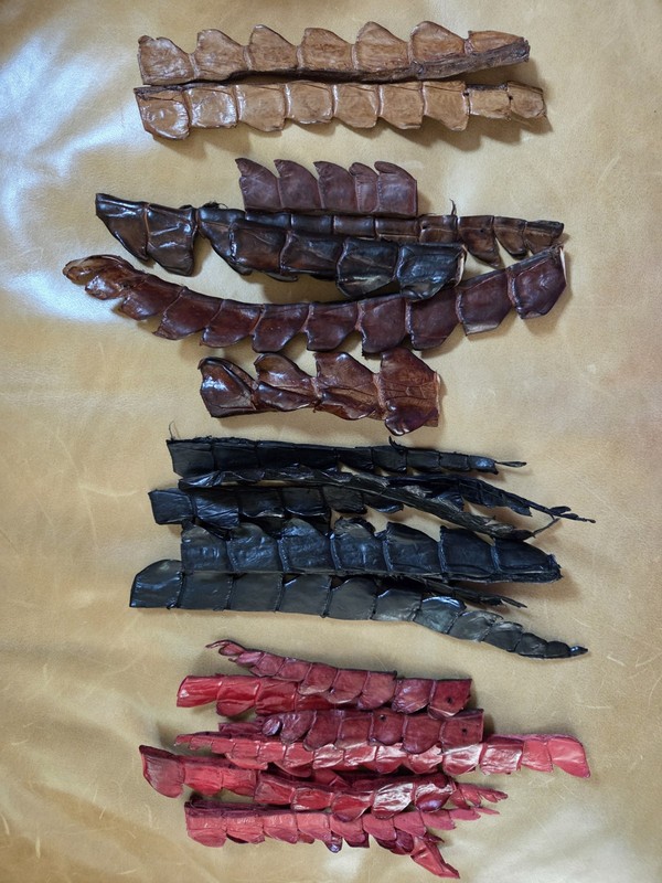 Lot of 26 Crocodile Hornback Backstrap Tail Ends 4 Colors for Bracelets, Crafts 