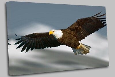 Wandbild großes Tier fliegender Adler Leinwand Wandbild Bild Druck