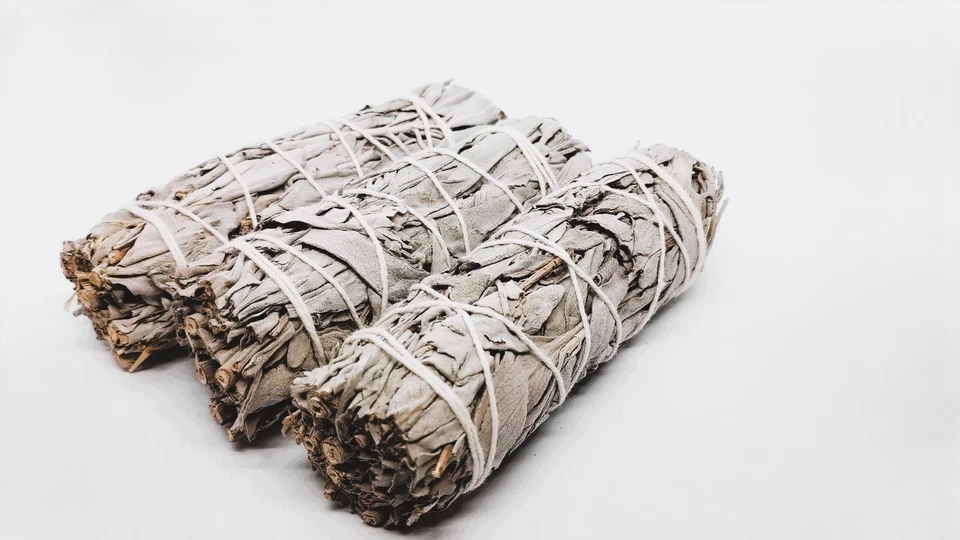 Salvia Bianca - Salvia Apiana da bruciare - 10 cm - Immagine 3 di 4