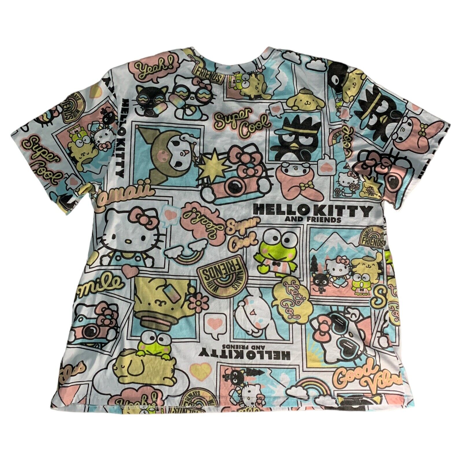 Hello Kitty & Friends T-Shirt Size 1X Fun Graphic Cartoon 2022 Edition Blue Pink