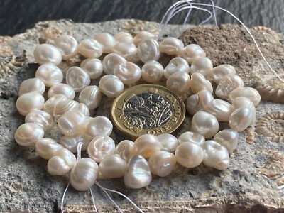 Keshi Pearls Semi Precious Gemstone Beads 40cm Strand