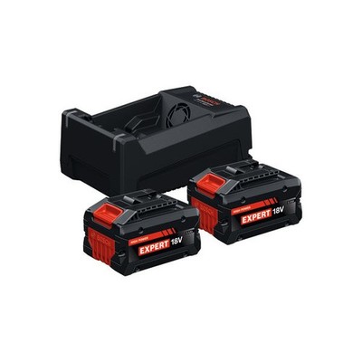 Bosch Starter-Set 2x EXBA18V-55 + GAL12V/18V-80