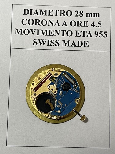 Dial Squale - Dpw - North Eagles Diver Swiss Made 28 MM Crown H 4,5 - N° 31 - Picture 2 of 3