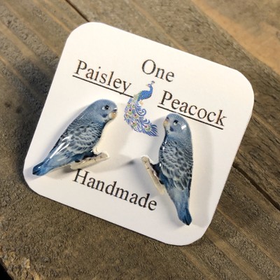 budgie earrings