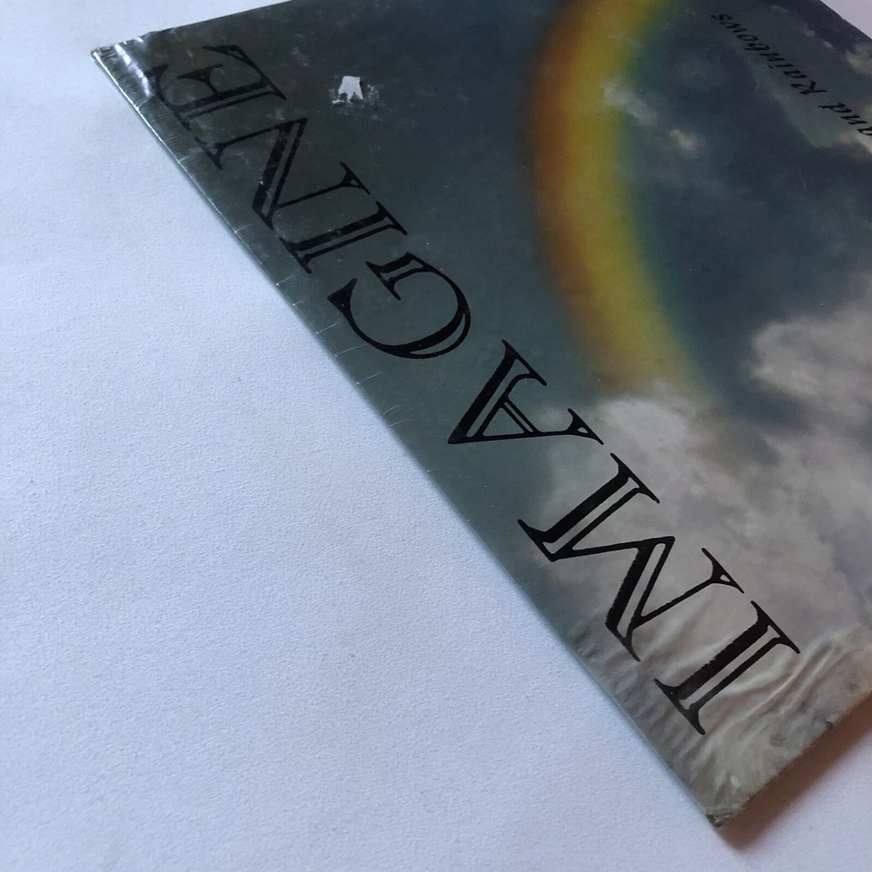 Private Press Prog Psych Hippie AOR Hard Rockin Original SEALED Imagine 2 LP Lot - Image 4 of 4