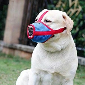 soft muzzle for barking
