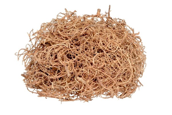 Nadeco Curly Moos Natur 50G Curlymoos Tillandsia Moos Deko Moos Bastelmoos Dekom-image