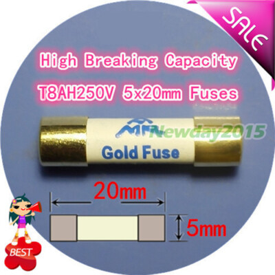 1PCS T8AH250V AMR 10A 250V HIFI Gold Cap Silver Fuse Tube | eBay