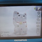 Bild 8 von 10