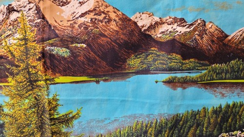 Vintage 1970s Wall Tapestry -Outdoors With Mountians And Lake - Picture 3 of 5