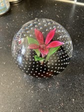 CAITHNESS GLASS PAPERWEIGHT CT27 FLOWER IN THE RAIN RED