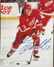 Mathieu  Dandenault  Detroit  Red Wings   Autographed  8x10  Photo