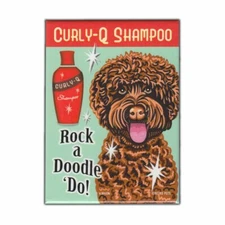 Retro Pets Magnet, Curly-Q Shampoo, Labradoodle Dog (Chocolate), 2.5" x 3.5"