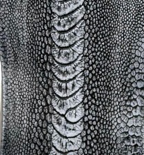 Ostrich Legs Skin Leather Dark Gray (stonewashed)