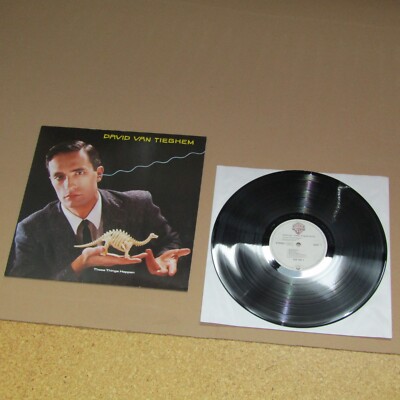 David van Tieghem - These Things happen - LP Warner Bros. Records 925 105-1