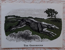 COURSING GREYHOUND DOG PRINT