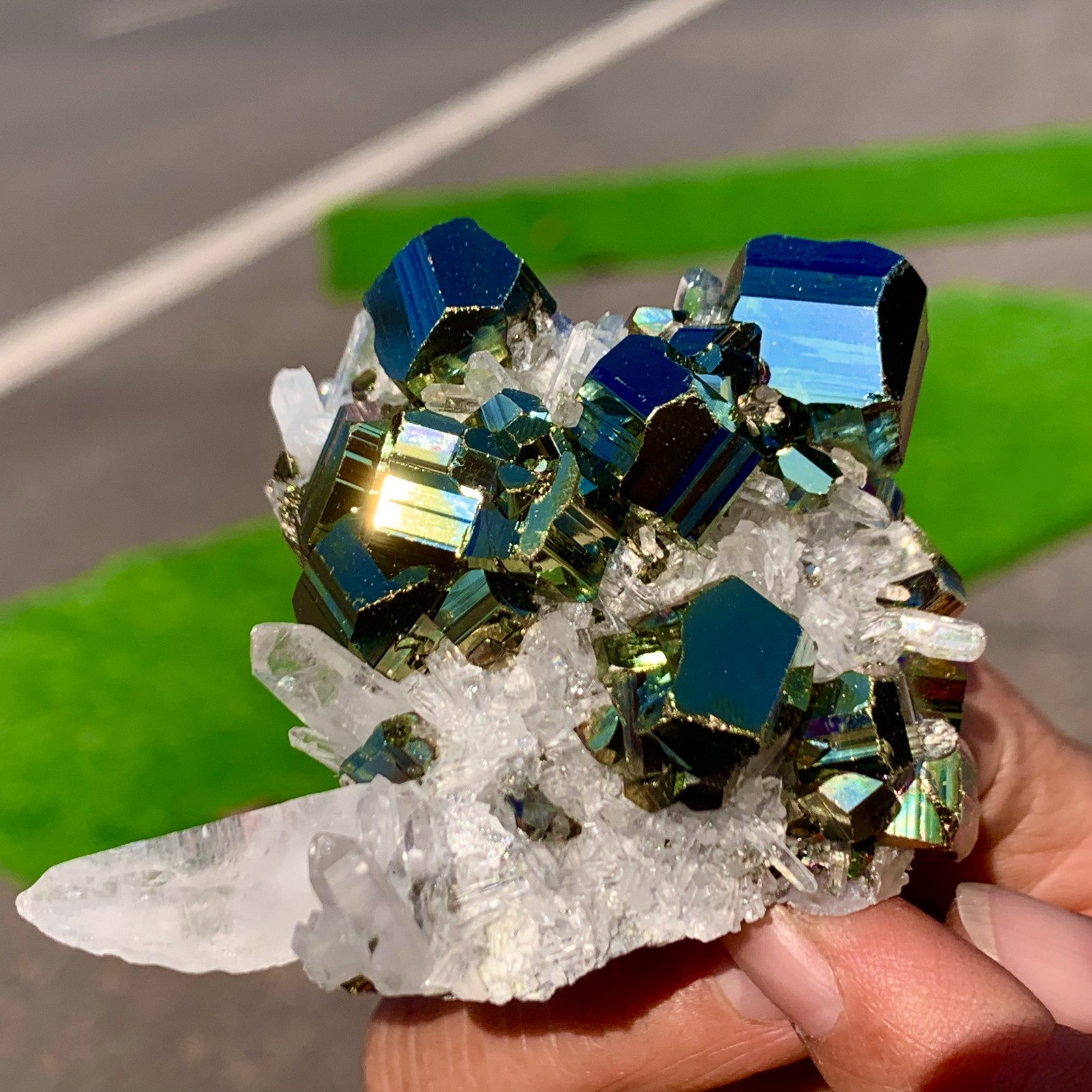 133G Natural colorful chalcopyrite clear Cluster coexisting crystal mineral