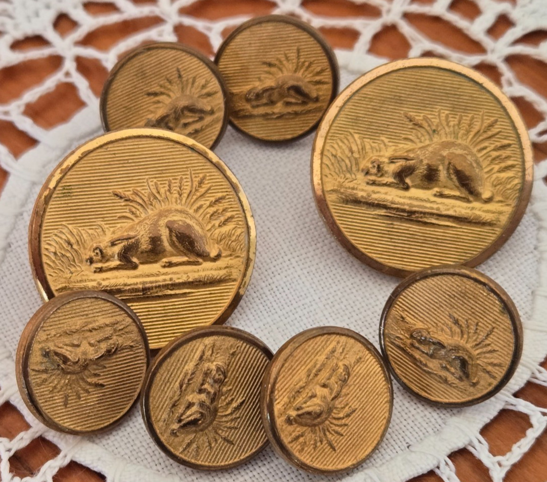 antique,Victorian brass & gilt hunting sports button,beaver,MADE IN ENGLAND