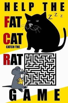Help the Fat Cat Catch the Rat: A Hilarious Maze Adventure Book for Kids & Famil